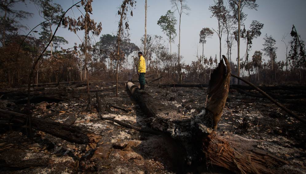 Degradación en la Amazonia es mayor que la deforestación – RAISG